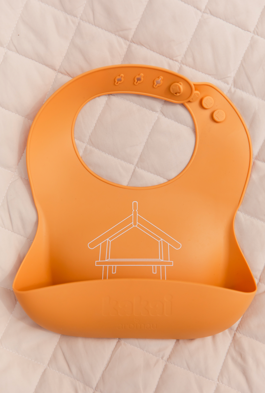 Kōanga Pātaka Ārai Kai