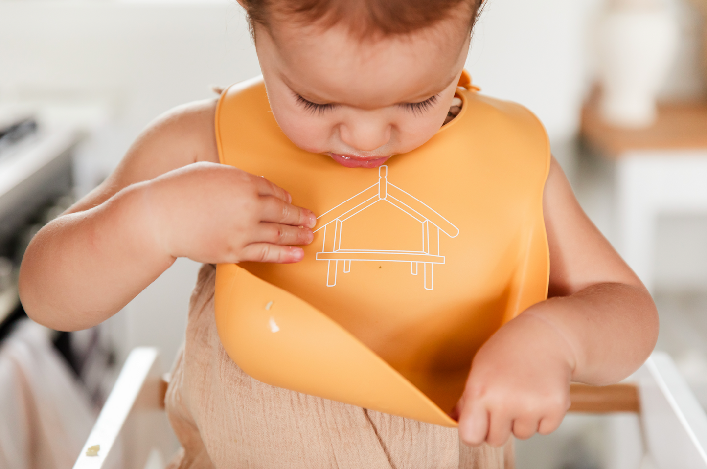 Kōanga Pātaka Ārai Kai